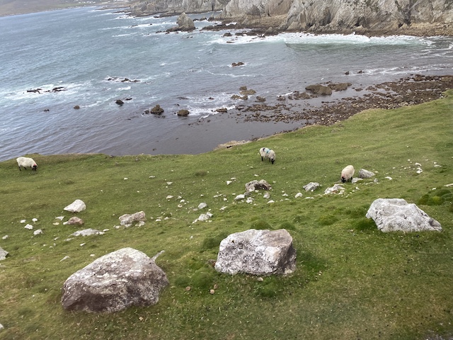 Best Time to Visit Ireland: A Word for the Wise!