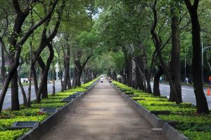 parks in Mexico City, walkway