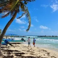 21 Ideal things to do in Cozumel Mexico 2023
