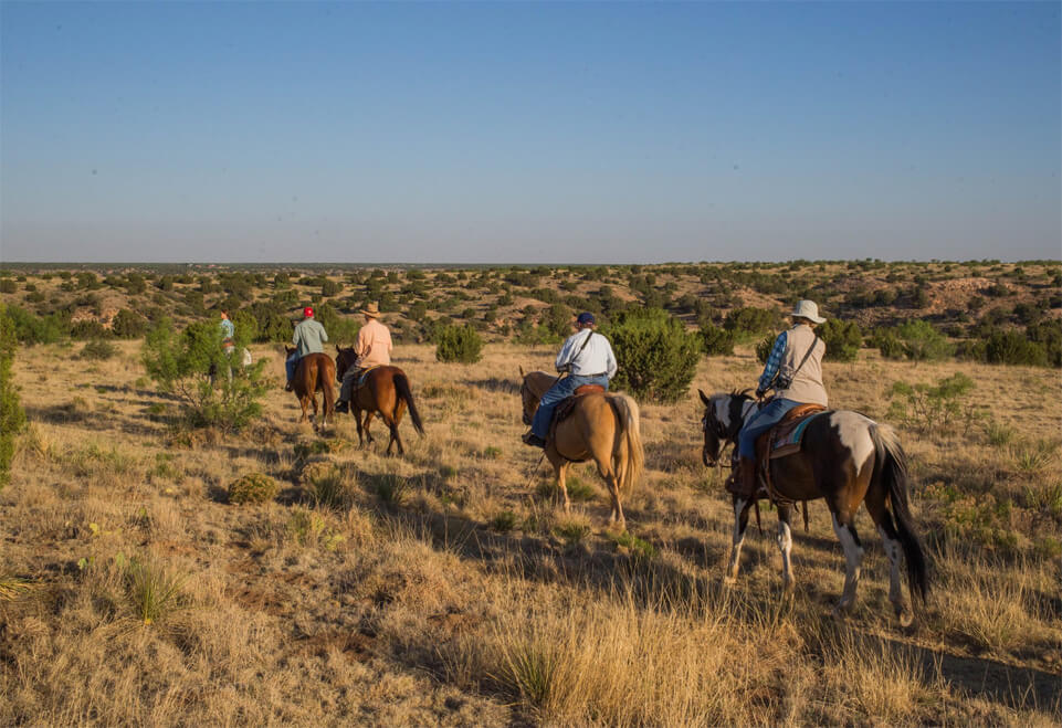 horseback riding