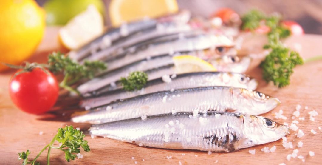 The Famous Canned Sardines from Portugal in 2023