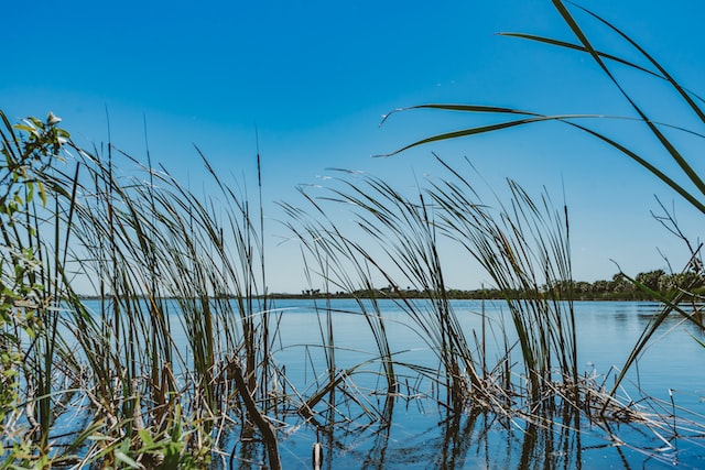 Our Favorite Family-Friendly Beaches in Tampa Bay