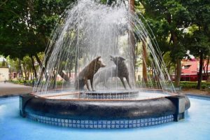 COYOACAN