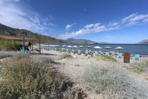 ENSENADA BLANCE