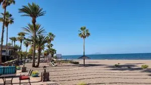 PLAYA OASIS