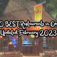 THE 10 BEST Restaurants in Cozumel - Updated February 2023