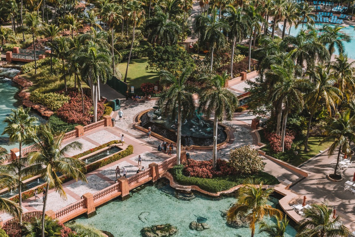 Exploring the Bahamas in a Day: A Miami to Bahamas Itinerary